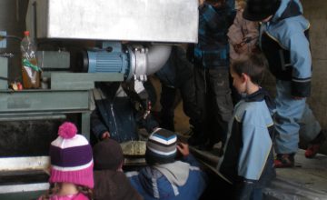 Kinder beim mosten